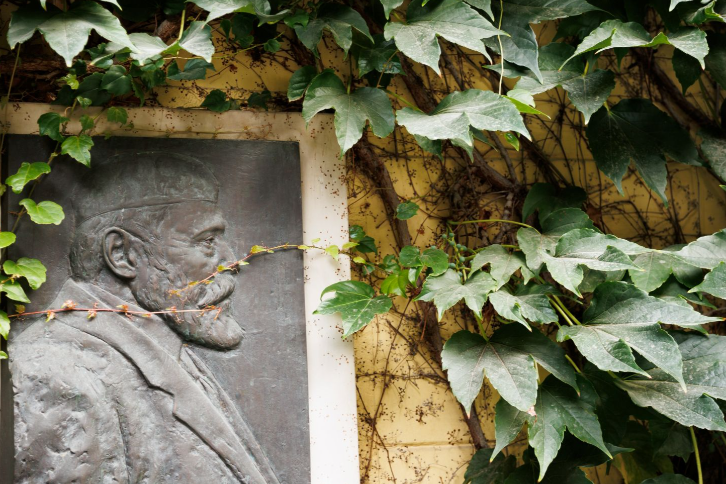 Meghívó a Műemlékvédelmi Tagozat TISZTÚJÍTÓ tagozati gyűlésére - 2026. április 16.