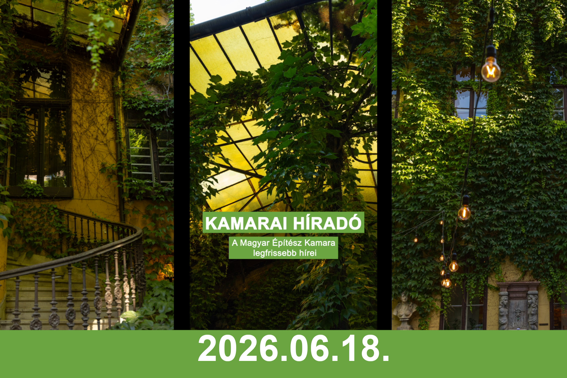 Kamarai híradó - MÉK elnöki tájékoztató - 2026.06.18