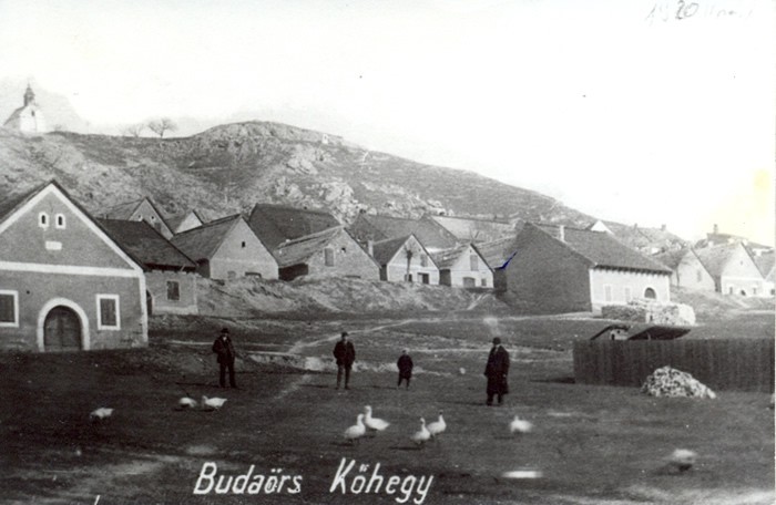 Kőhegyi pince-túra