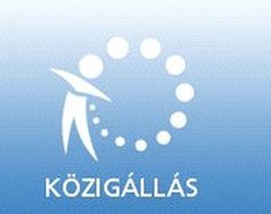 Semmelweis Egyetem Energetikai Korszerűsítések Lebonyolító Szervezet - Ügyvivő szakértőt keres
