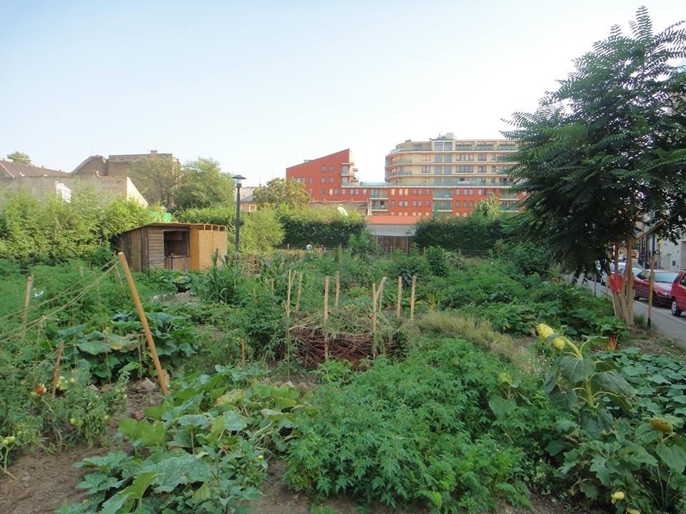 Workshop: Urban Agroforestry project in Budapest