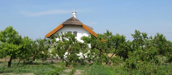 Kerekasztal-beszélgetés a zártkertek fejlesztéséről
