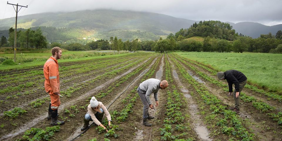 Előadás: Szociális Farmok / Care Farms